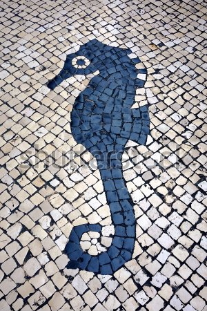 stock-photo-seahorse-shaped-mosaic-tile-floor-in-the-streets-of-macau-253473082